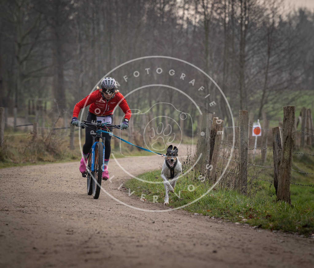 Pfotenfotografie_DV3A1457 | Hundefotografie, Tierfotograf, Pfotenfotografie, Fotoshooting Hund, Hunde Portrait, Hundesport, Hundeportraits, Heideshooting, Hunde, Sportfotograf, Hundefotograf, Turnierhundsport, THS,  - Realisiert mit Pictrs.com