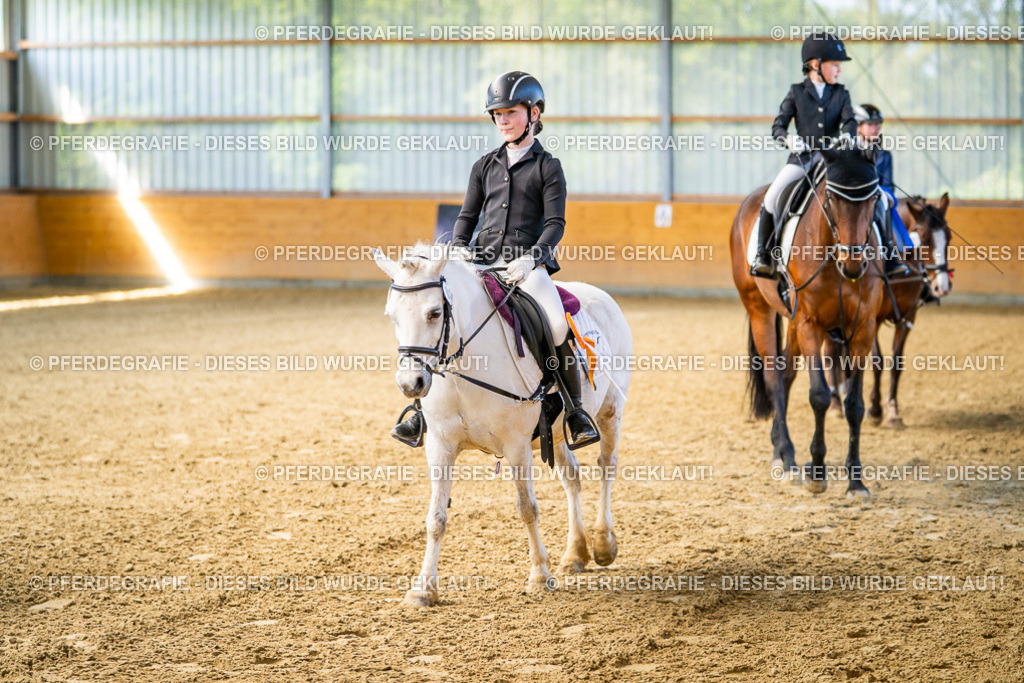 DSC02785 | Pferdegrafie