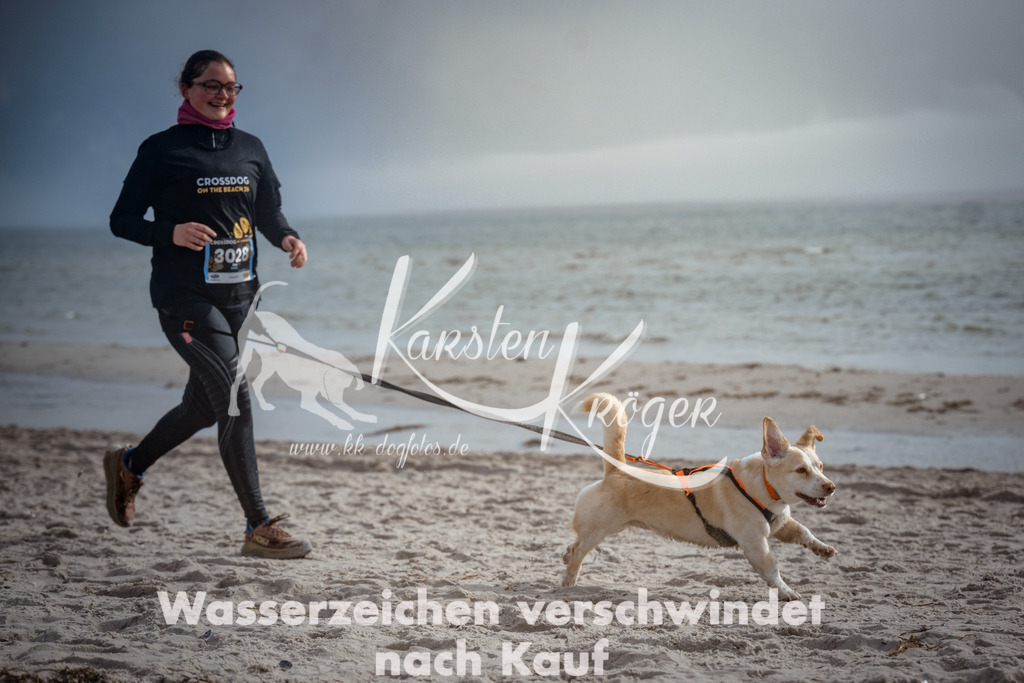 1117_ZZ97626 | kk-dogfotos