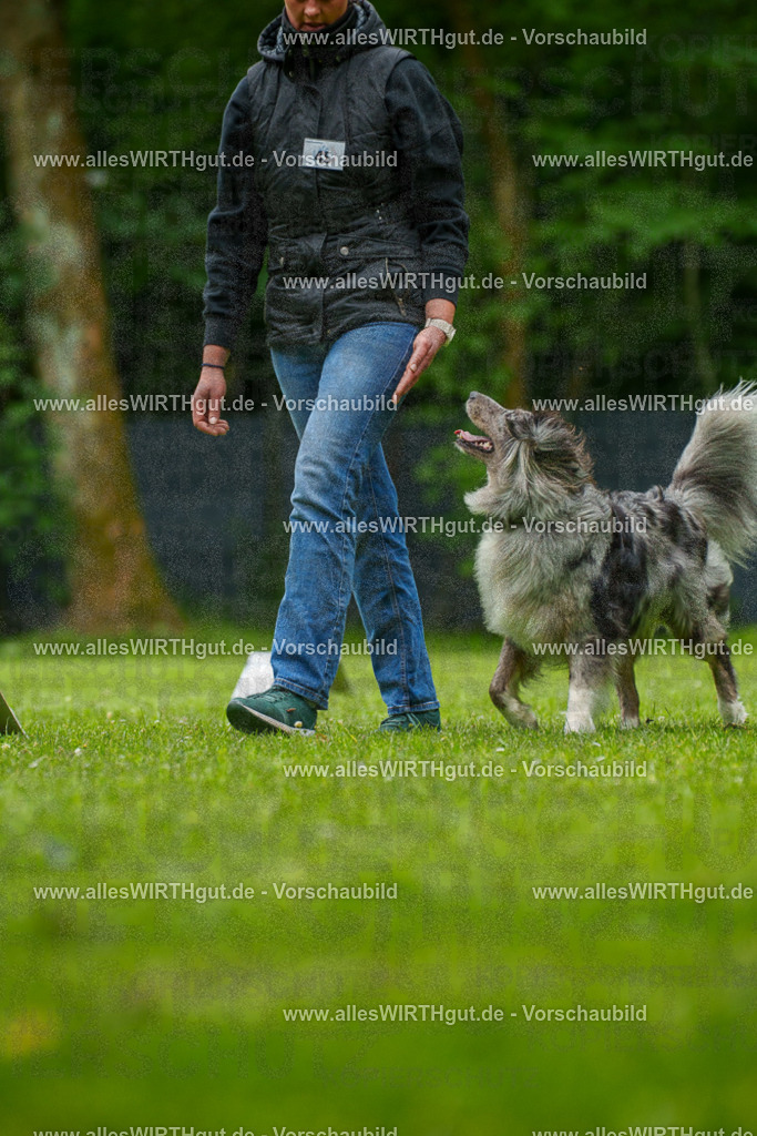 @allesWIRTHgut_Tierfotografie - www.allesWIRTHgut.de - 7R500325 | Professionelle Tierfotografie in Mönchengladbach von Daniel Wirth (allesWIRTHgut). Liebevolle & natürliche Bilder von Hunden & Katzen für unvergessliche Erinnerungen.