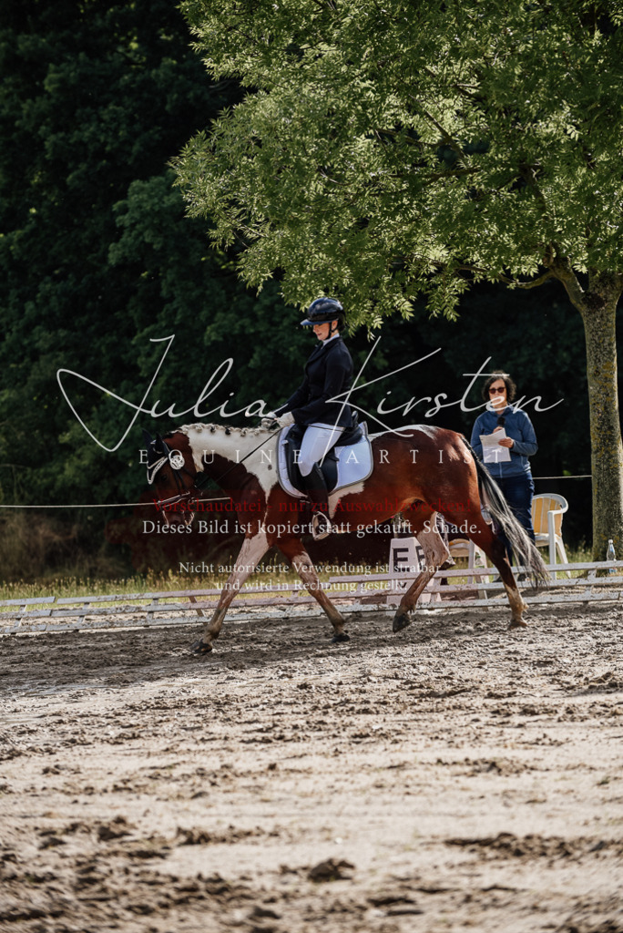 DSC_8752 | Pferde- und Turnierfotografie in Westsachsen. Pferdeportraits, Auftragszeichnungen und intuitive Kunst.