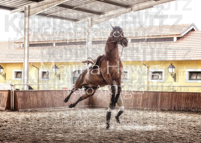 Belem-3_MarinaHewig | OLYMPUS DIGITAL CAMERA - Realisiert mit Pictrs.com