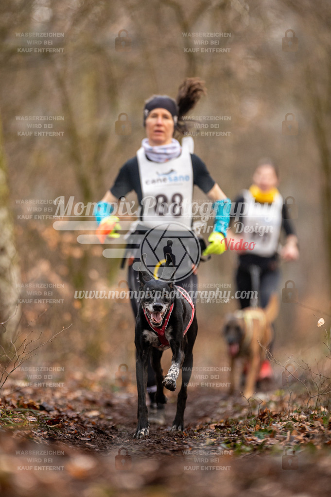 Reiat2023_SON_CaniXRun_8km_W-2 | PayLife