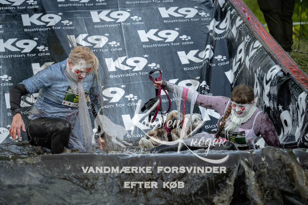 1613_ZZ92155 | kk-dogfotos