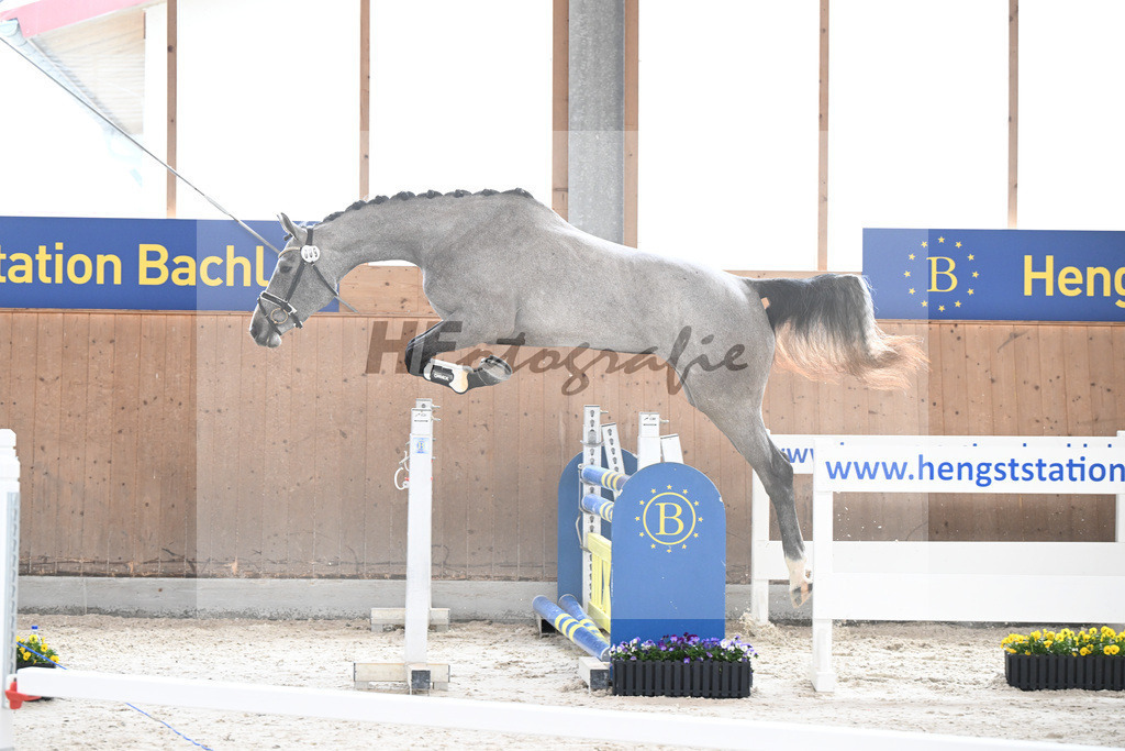 Kat-Nr. 9 nn v. Vingino_Schindele_5250228 | hf-fotografie - Realisiert mit Pictrs.com
