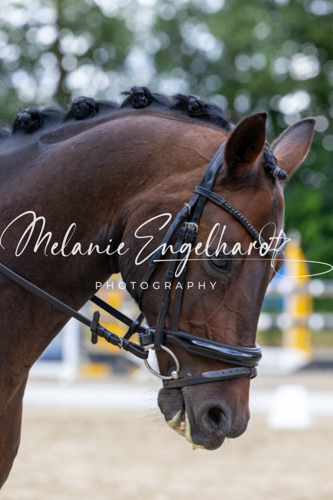 7I8A3841 | melanie-engelhardt-photography - Realisiert mit Pictrs.com