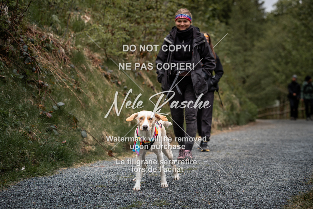 nelerasche_SaAbends_198 | nelerasche