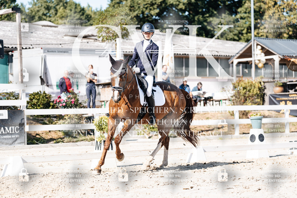CK908451 | Turnierfotografie Pferdefotografie Trier Rheinland-Pfalz Pferdesport Reitsport Tierfotografie Sportfotografie Pferdevideo Pferdevideografie Equestrianvideography equestrianphotography  - Realisiert mit Pictrs.com