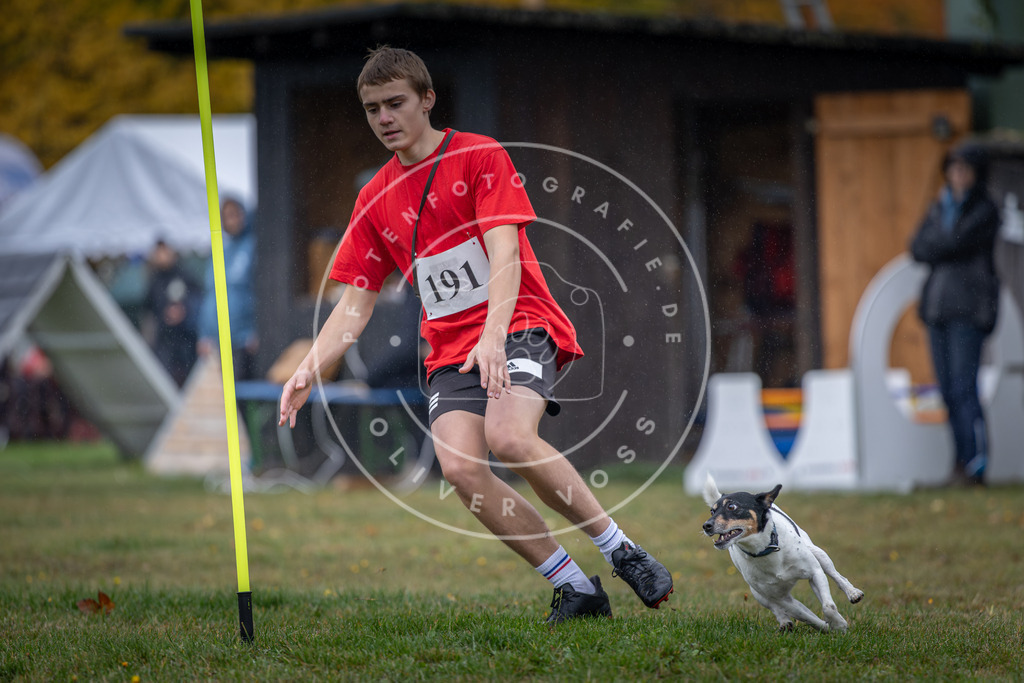Pfotenfotografie_DV3A9914 | Hundefotografie, Tierfotograf, Pfotenfotografie, Fotoshooting Hund, Hunde Portrait, Hundesport, Hundeportraits, Heideshooting, Hunde, Sportfotograf, Hundefotograf, Turnierhundsport, THS,  - Realisiert mit Pictrs.com