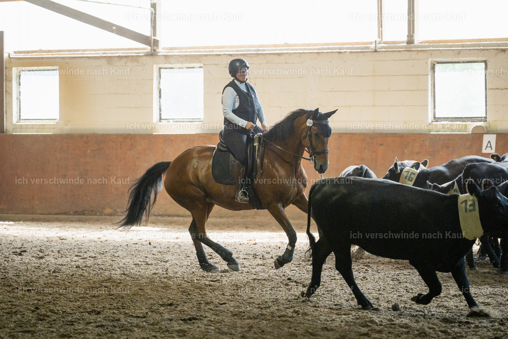 WL_COW_140_Stoibphotography_SO12679 | working equitationturnier fotograf videograf stoibphotography marixx film working equitation deutschland reitsport turnierfotografie eventfotografie equestrian events