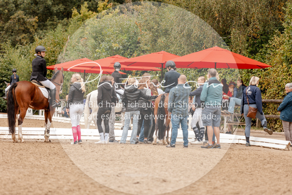 3I6A8890 | Stimmungsvolle Portraits und Reitsportfotografie im Ruhrgebiet und im Münsterland.

Pferdefotografie, Hundefotografie, Tierfotografie, Reportagen, Portraits von Tier und Mensch, Turnierfotografie in Bochum, Recklinghausen, Marl, Haltern am See, Dülmen.. - Realisiert mit Pictrs.com