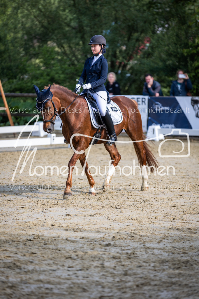 Donop24-A-Dre-147 | MomenTaufnahmen Pferdesportfotos