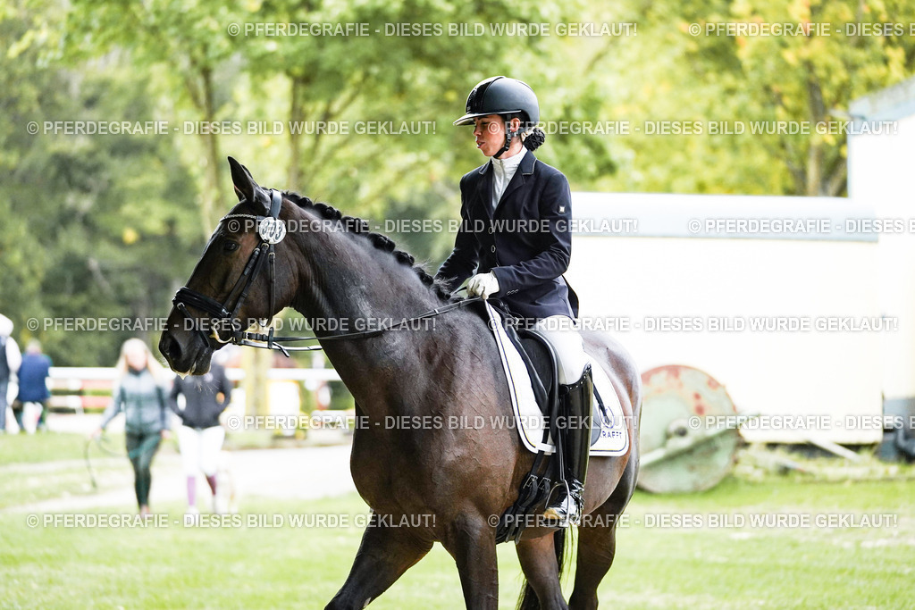 DSC00570 | Pferdegrafie