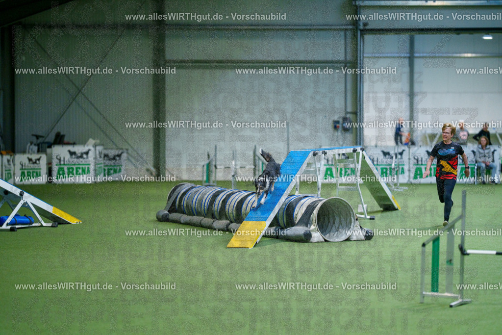 @allesWIRTHgut_Tierfotografie - www.allesWIRTHgut.de - 2604250815-7R505960 | Professionelle Tierfotografie in Mönchengladbach von Daniel Wirth (allesWIRTHgut). Liebevolle & natürliche Bilder von Hunden & Katzen für unvergessliche Erinnerungen.