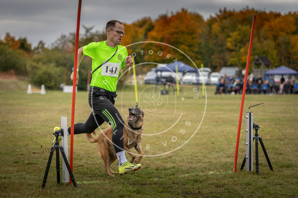 Pfotenfotografie_DV3A8136 | Hundefotografie, Tierfotograf, Pfotenfotografie, Fotoshooting Hund, Hunde Portrait, Hundesport, Hundeportraits, Heideshooting, Hunde, Sportfotograf, Hundefotograf, Turnierhundsport, THS,  - Realisiert mit Pictrs.com