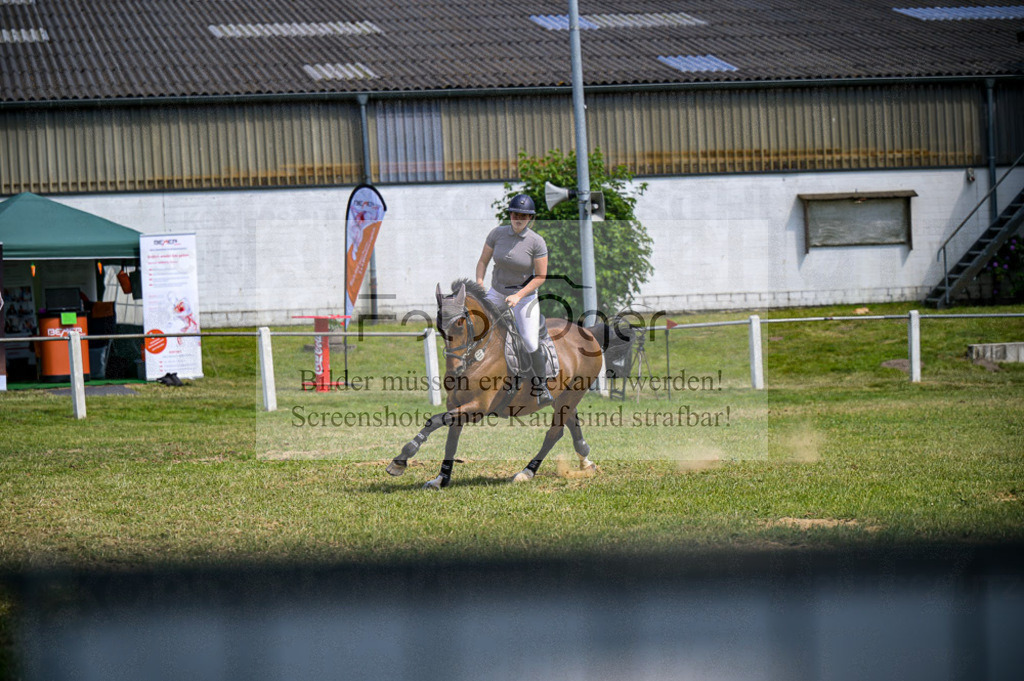 Reitturnier Voxtrup | Entdecke hochwertige Reitturnierfotos von Foto Oger. Professionell, emotional und authentisch – jetzt Lieblingsmomente im Shop bestellen.Deutschlandweite Turnierfotografie. - Realisiert mit Pictrs.com