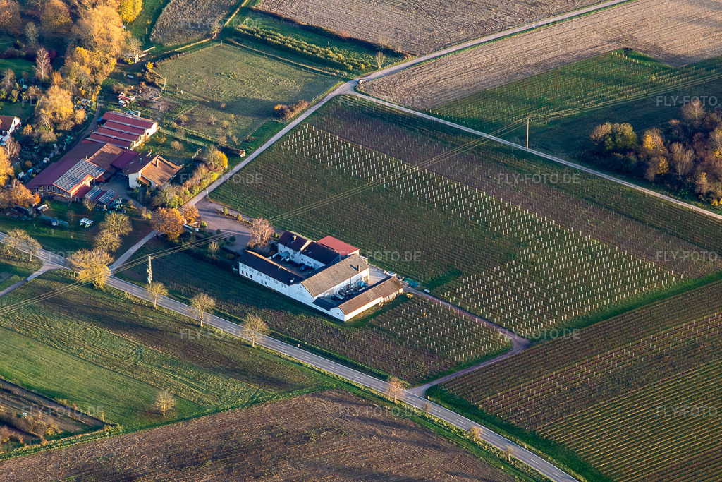 Luftbild: Knaufs Weinstube in Göcklingen im Bundesland Rheinland-Pfalz in Deutschland. Foto: IMG_139278.jpg vom 22.11.2023 durch Werner Riehm/FLY-FOTO.de