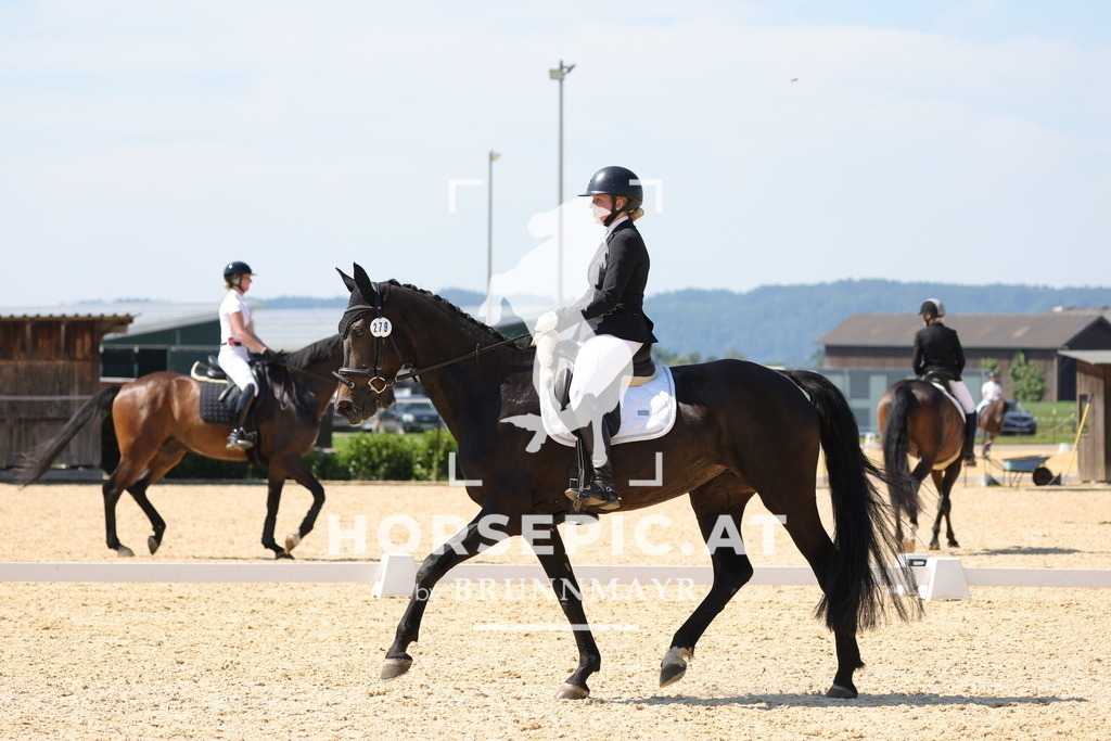0P6A1063 | Willkommen bei Brunnmayr - Design & Fotografie – Ihrem Spezialisten für Reitturniere und Pferdeveranstaltungen in Oberösterreich, Salzburg und Bayern! Seit über 17 Jahren sind wir leidenschaftlich dabei.