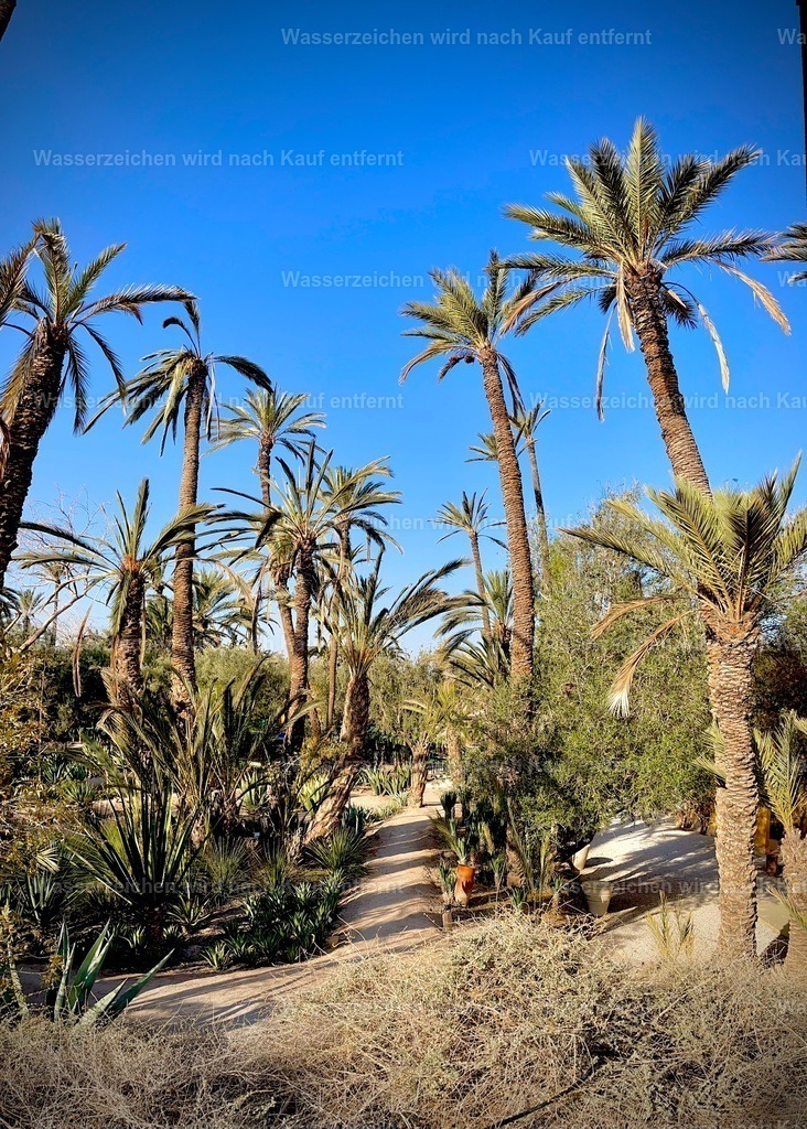 IMG_3815 | heikomoeller - Realisiert mit Pictrs.com