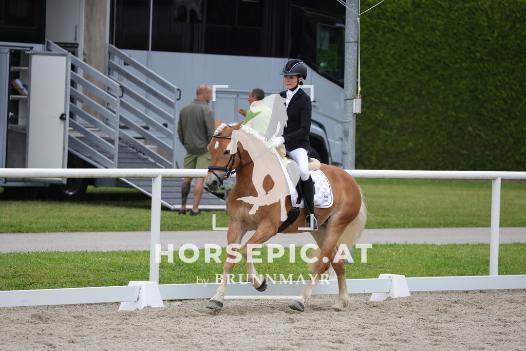 0P6A7103 | Willkommen bei Brunnmayr - Design & Fotografie – Ihrem Spezialisten für Reitturniere und Pferdeveranstaltungen in Oberösterreich, Salzburg und Bayern! Seit über 17 Jahren sind wir leidenschaftlich dabei.