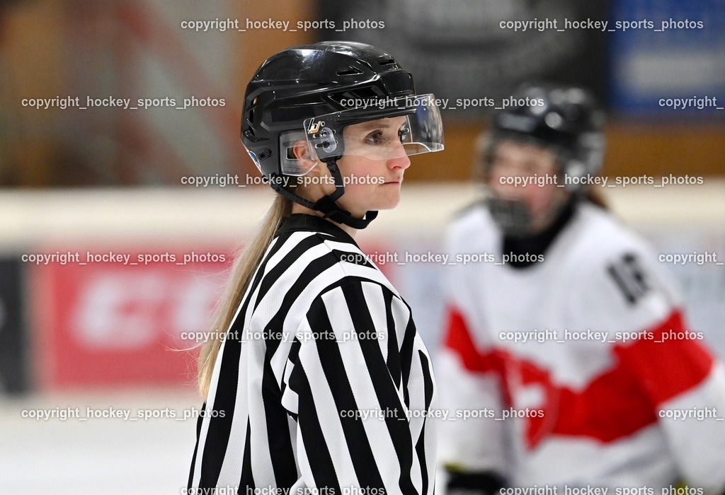 BST_3382 | hockey sports photos, Pressefotos, Sportfotos, hockey247, win 2day icehockeyleague, Handball Austria, Floorball Austria, ÖVV, Kärntner Eishockeyverband, KEHV, KFV, Kärntner Fussballverband, Österreichischer Volleyballverband, Alps Hockey League, ÖFB, 