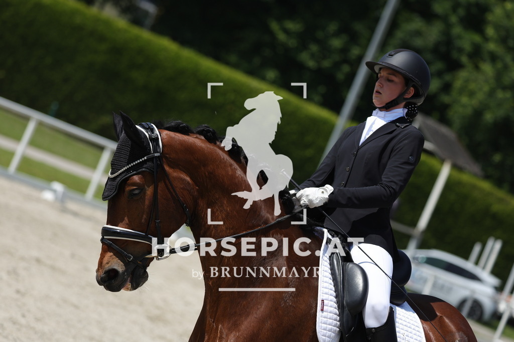 0P6A1208 | Willkommen bei Brunnmayr - Design & Fotografie – Ihrem Spezialisten für Reitturniere und Pferdeveranstaltungen in Oberösterreich, Salzburg und Bayern! Seit über 17 Jahren sind wir leidenschaftlich dabei.