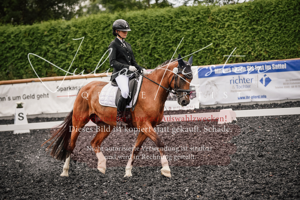DSC_4476 | Pferde- und Turnierfotografie in Westsachsen. Pferdeportraits, Auftragszeichnungen und intuitive Kunst.