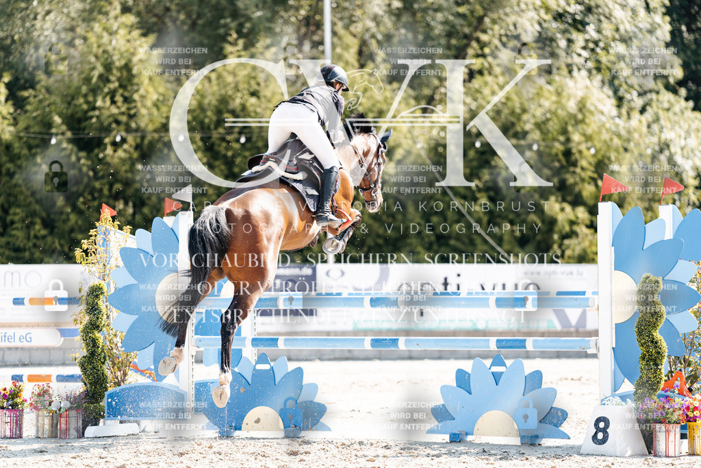 CK902700 | Turnierfotografie Pferdefotografie Trier Rheinland-Pfalz Pferdesport Reitsport Tierfotografie Sportfotografie Pferdevideo Pferdevideografie Equestrianvideography equestrianphotography  - Realisiert mit Pictrs.com