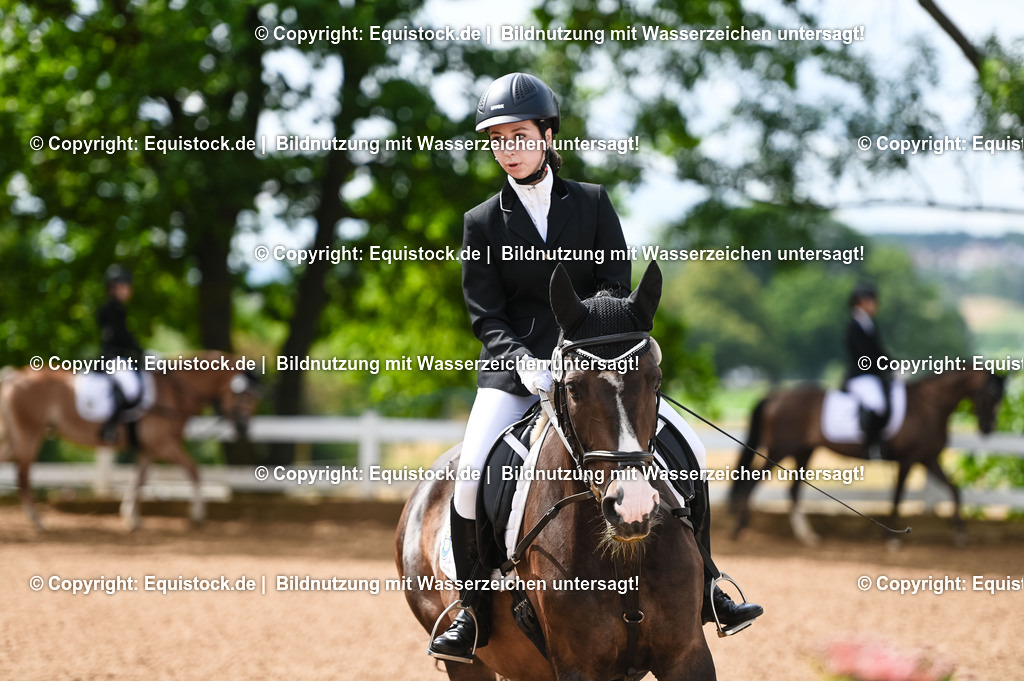 20230716_10-1_Reiter-WB Schritt - Trab - Galopp_0128 | equistock