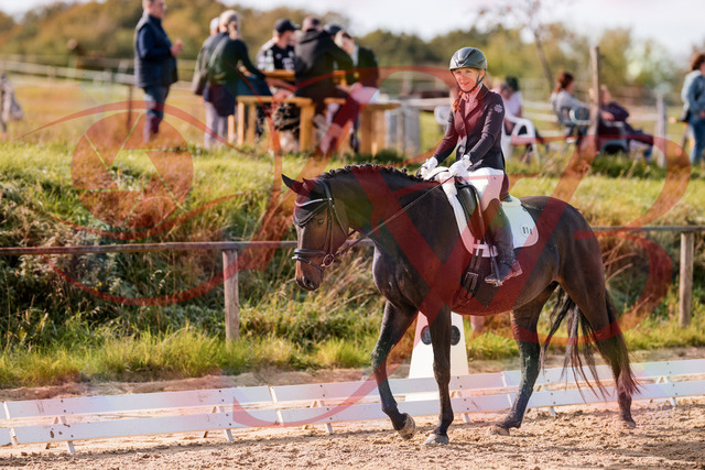 2026_10_03_Siefer-Hof_121237_Z81_13283469 | Professionelle Reitsport-, Turnier- und Eventfotografie von Robert Broda. Galerien mit ausgewählten und bearbeiteten Bildern direkt online ansehen und bestellen.