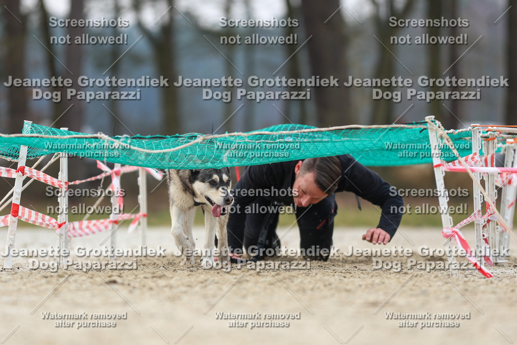 Dog Paparazzi - Strongdog North Mrz26-4581 | Dog Paparazzi Jeanette Grottendiek Fotografie & Videografie - Realisiert mit Pictrs.com