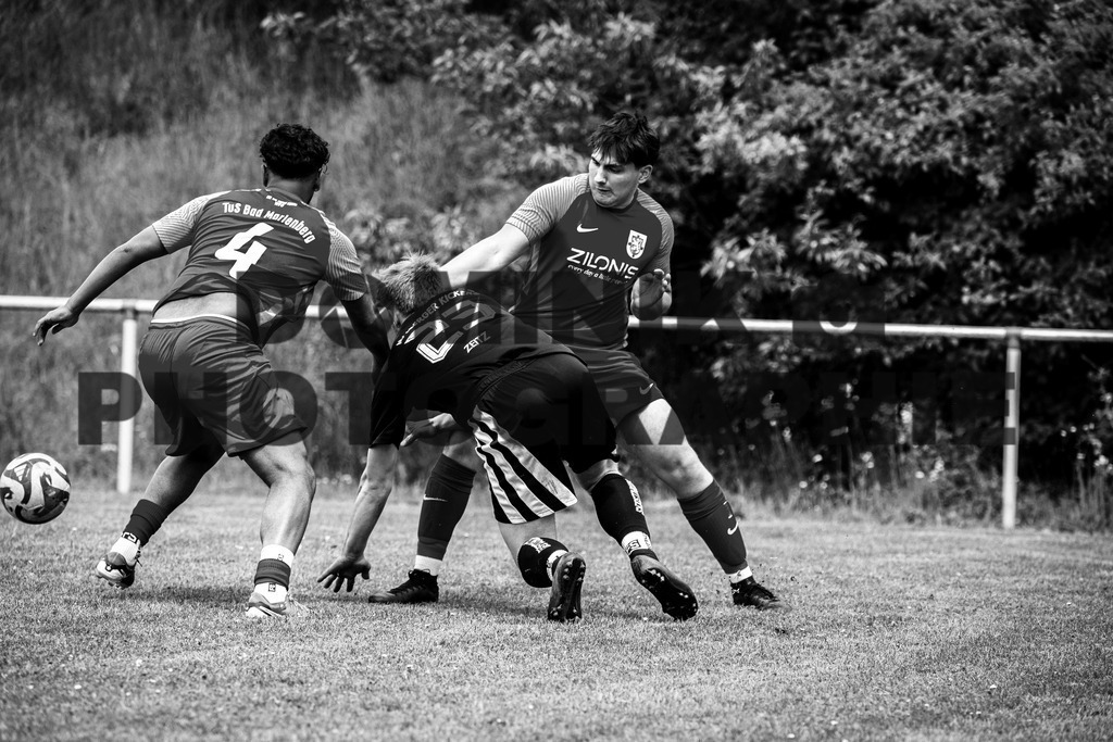 _62_8255_swx | dominik-photographie - Realisiert mit Pictrs.com