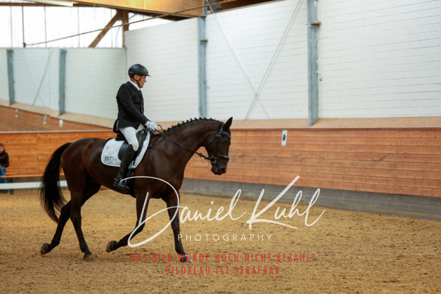 _62_4521 | Turniersportfotografie; Pferdefotografie; Dressurfotografie