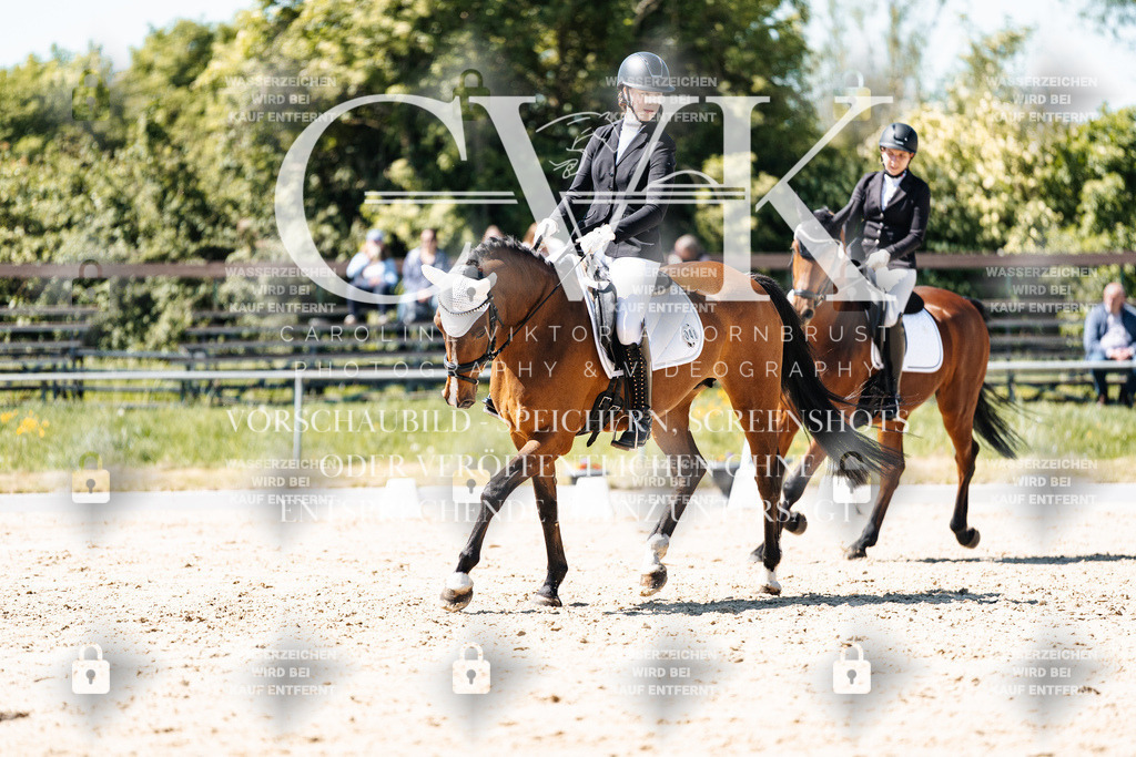 CK905881 | Turnierfotografie Pferdefotografie Trier Rheinland-Pfalz Pferdesport Reitsport Tierfotografie Sportfotografie Pferdevideo Pferdevideografie Equestrianvideography equestrianphotography  - Realisiert mit Pictrs.com