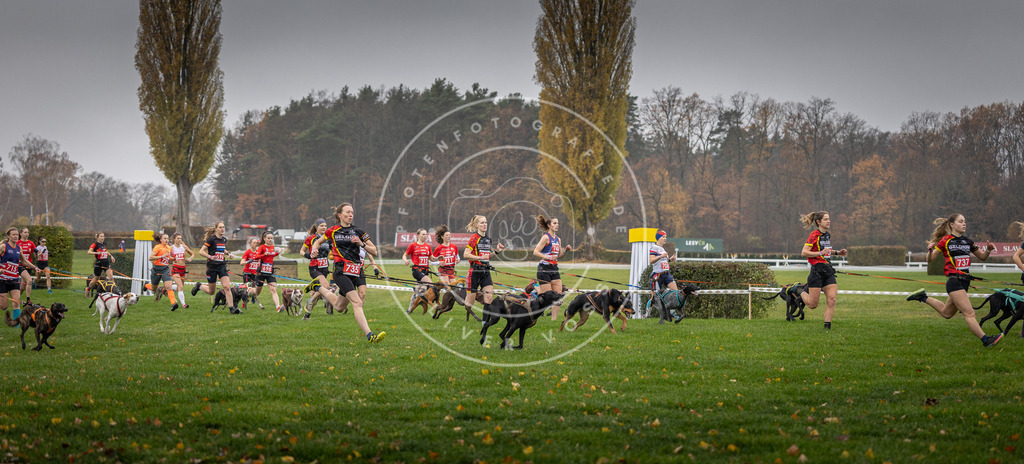 CaniXpix_DV3A8787 | Hundefotografie, Tierfotograf, Pfotenfotografie, Fotoshooting Hund, Hunde Portrait, Hundesport, Hundeportraits, Heideshooting, Hunde, Sportfotograf, Hundefotograf, Turnierhundsport, THS,  - Realisiert mit Pictrs.com