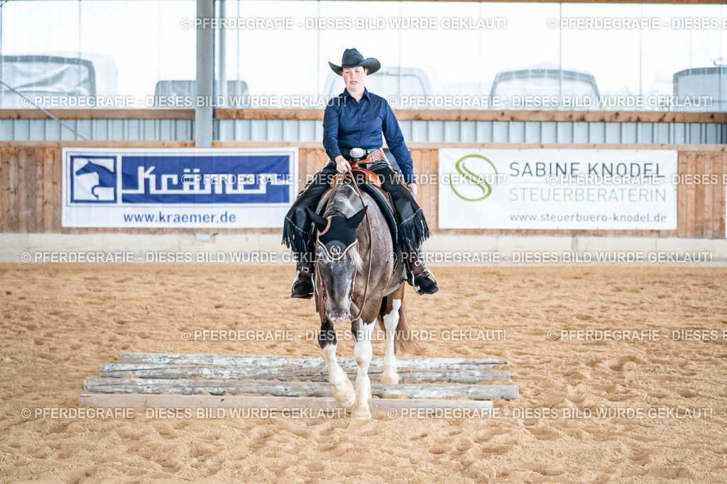 DSC02784 | Pferdegrafie