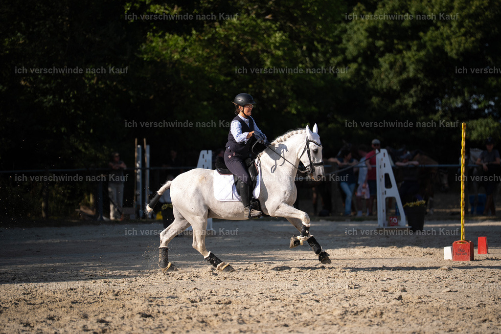 WS_SP_57_Stoibphotography_SO12528 | working equitationturnier fotograf videograf stoibphotography marixx film working equitation deutschland reitsport turnierfotografie eventfotografie equestrian events