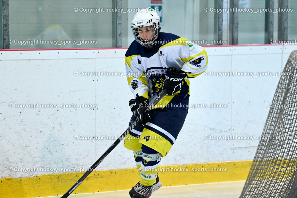 BST_6340 | hockey sports photos, Pressefotos, Sportfotos, hockey247, win 2day icehockeyleague, Handball Austria, Floorball Austria, ÖVV, Kärntner Eishockeyverband, KEHV, KFV, Kärntner Fussballverband, Österreichischer Volleyballverband, Alps Hockey League, ÖFB, 