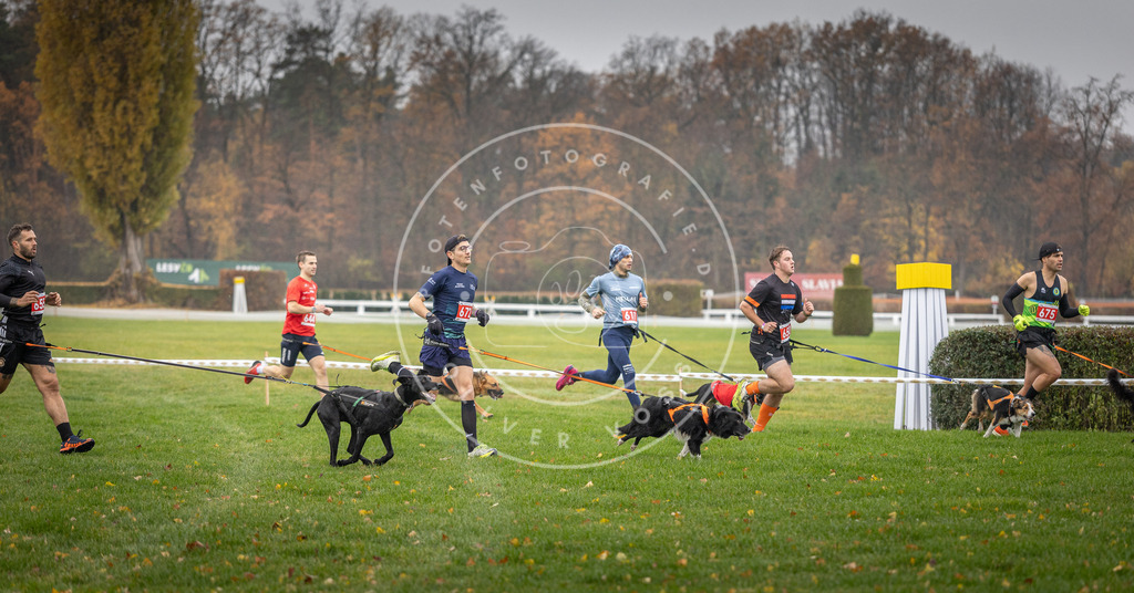 CaniXpix_DV3A9518 | Hundefotografie, Tierfotograf, Pfotenfotografie, Fotoshooting Hund, Hunde Portrait, Hundesport, Hundeportraits, Heideshooting, Hunde, Sportfotograf, Hundefotograf, Turnierhundsport, THS,  - Realisiert mit Pictrs.com