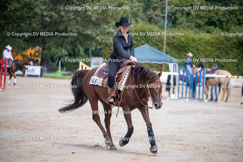 ZS3_5435 | dv-media-shop - Realisiert mit Pictrs.com