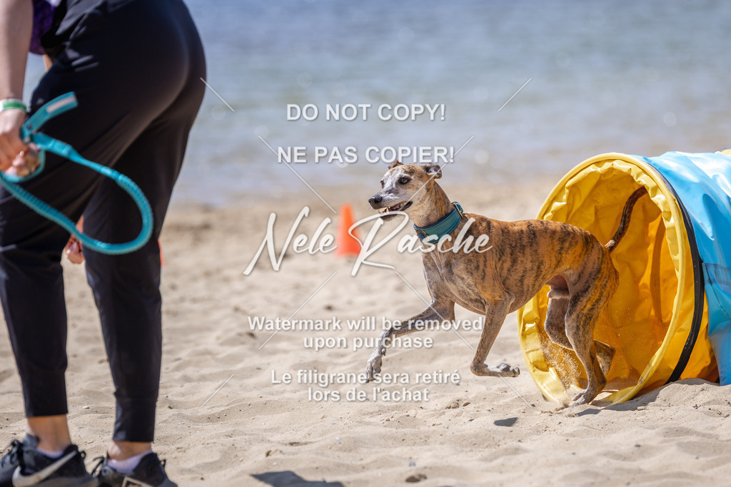 NR__2962 | nelerasche