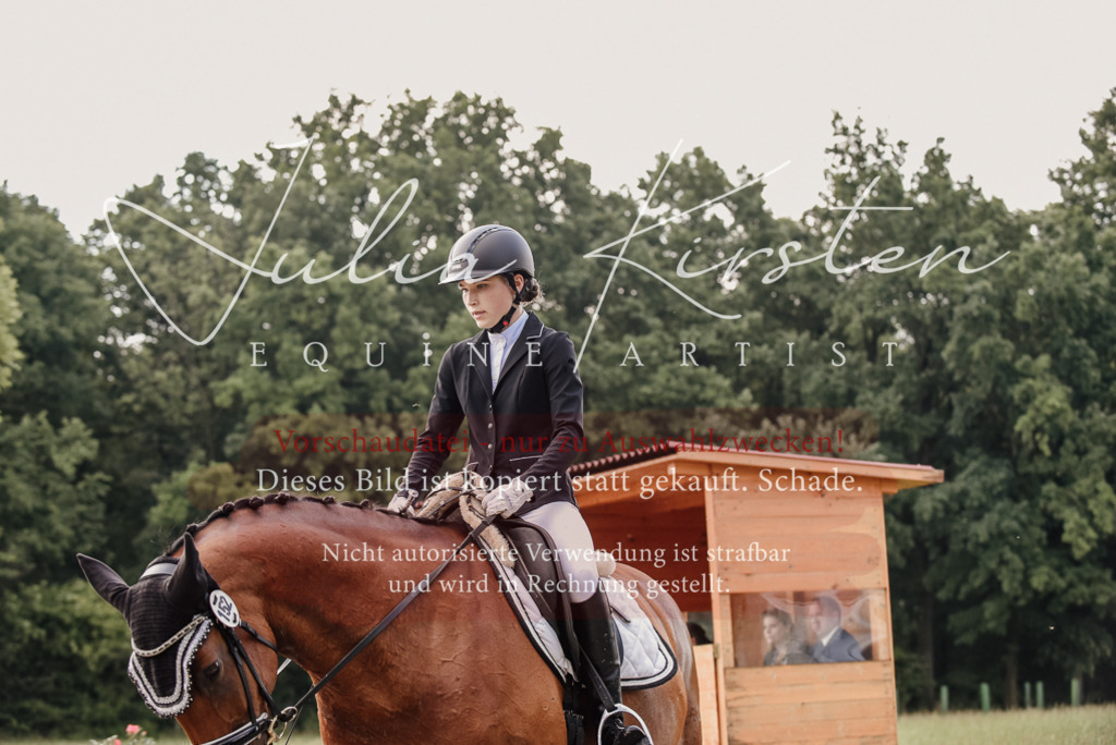 DSC_8224 | Pferde- und Turnierfotografie in Westsachsen. Pferdeportraits, Auftragszeichnungen und intuitive Kunst.