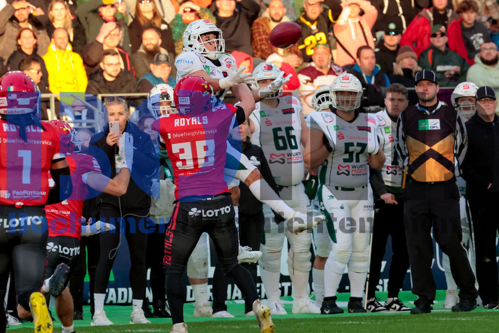  14.10.2023 - 
 | Sebastian Sendlak / Bochumer Nachrichtendienst (BOND) - GFL-Bowl 2023: Schwaebisch Hall Unicorns vs. Potsdam Royals - Realisiert mit Pictrs.com