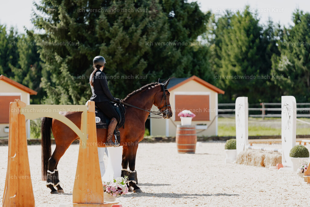 Nadine22_FHC2025-52 | working equitationturnier fotograf videograf stoibphotography marixx film working equitation deutschland reitsport turnierfotografie eventfotografie equestrian events