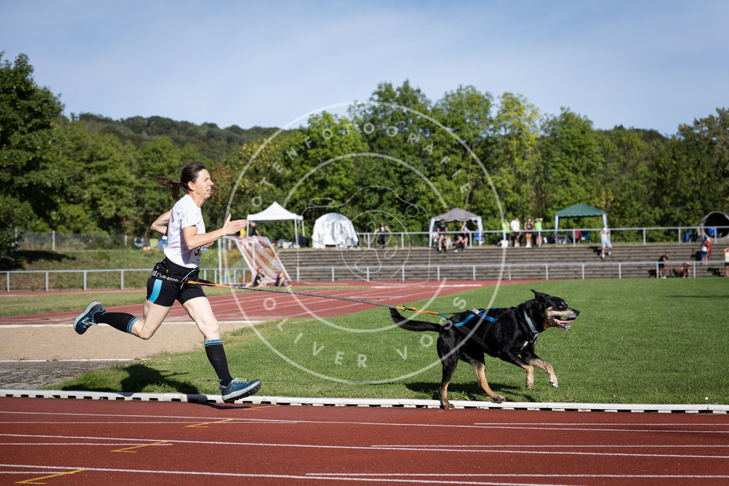 Pfotenfotografie_DV3A0024 | Hundefotografie, Tierfotograf, Pfotenfotografie, Fotoshooting Hund, Hunde Portrait, Hundesport, Hundeportraits, Heideshooting, Hunde, Sportfotograf, Hundefotograf, Turnierhundsport, THS,  - Realisiert mit Pictrs.com