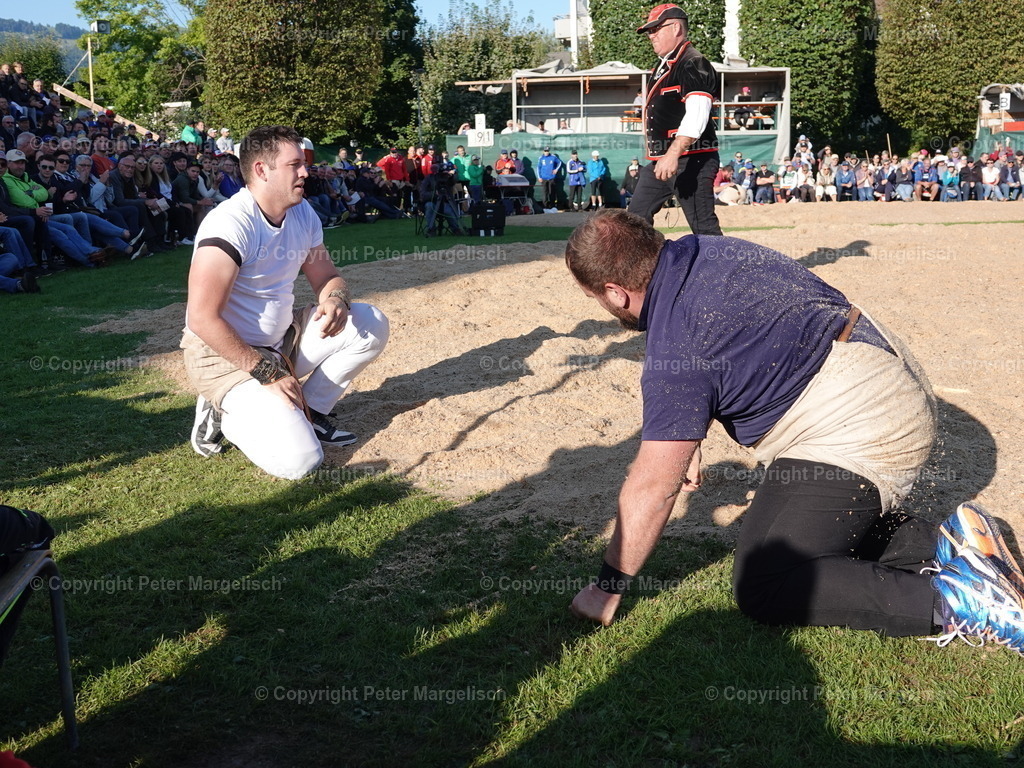 DSC05531 | Schwingen - Realisiert mit Pictrs.com