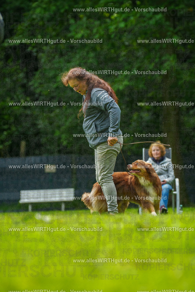 @allesWIRTHgut_Tierfotografie - www.allesWIRTHgut.de - 7R505157 | Professionelle Tierfotografie in Mönchengladbach von Daniel Wirth (allesWIRTHgut). Liebevolle & natürliche Bilder von Hunden & Katzen für unvergessliche Erinnerungen.