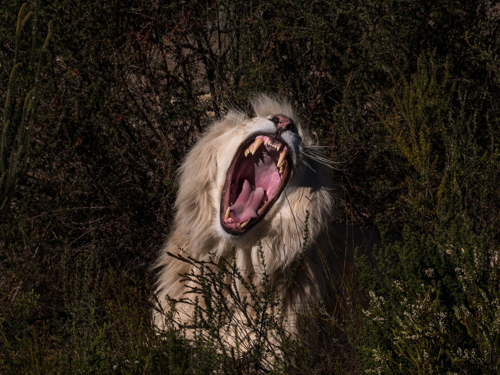 PANA3069-LR | Natur im Moment - Realisiert mit Pictrs.com