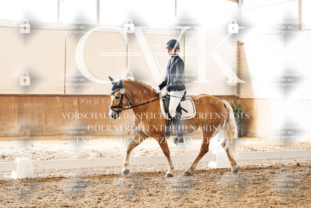 CK900126 | Turnierfotografie Pferdefotografie Trier Rheinland-Pfalz Pferdesport Reitsport Tierfotografie Sportfotografie Pferdevideo Pferdevideografie Equestrianvideography equestrianphotography  - Realisiert mit Pictrs.com