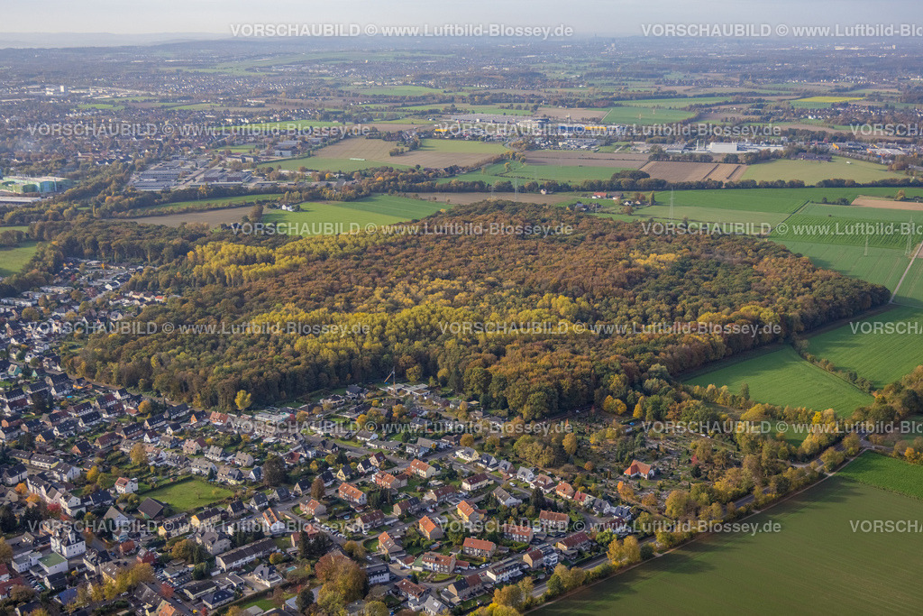 Kamen221012417Heeren-Werve | Luftbild, Heerener Holz Waldgebiet, Herbstfarben, Heeren-Werve, Kamen, Ruhrgebiet, Nordrhein-Westfalen, Deutschland